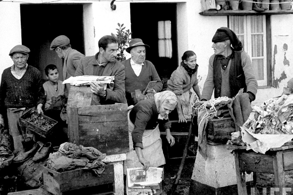 Terence Spencer/The LIFE Picture Collection/Getty Images